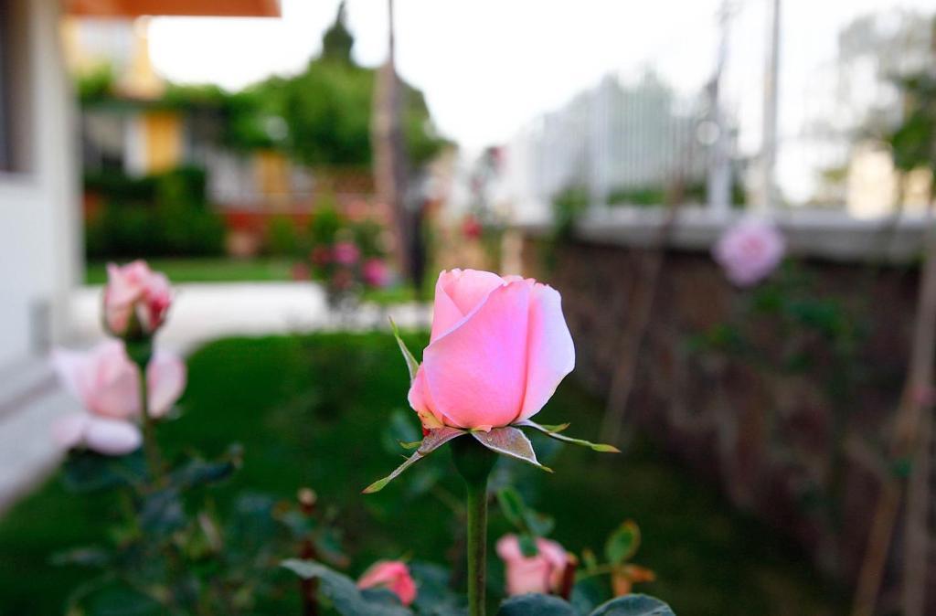 Villa Fokai Hotel Енидже Экстерьер фото